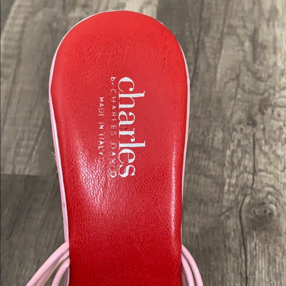 Charles By Charles David Mules - image 5